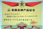 “天儀”牌WZP型工業(yè)用鉑熱電阻被安徽省人民政府推薦為九九年度安徽省名牌產(chǎn)品